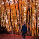 man in black jacket standing on brown dried leaves in the woods during daytime