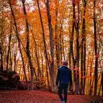 man in black jacket standing on brown dried leaves in the woods during daytime