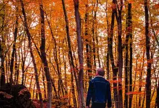man in black jacket standing on brown dried leaves in the woods during daytime